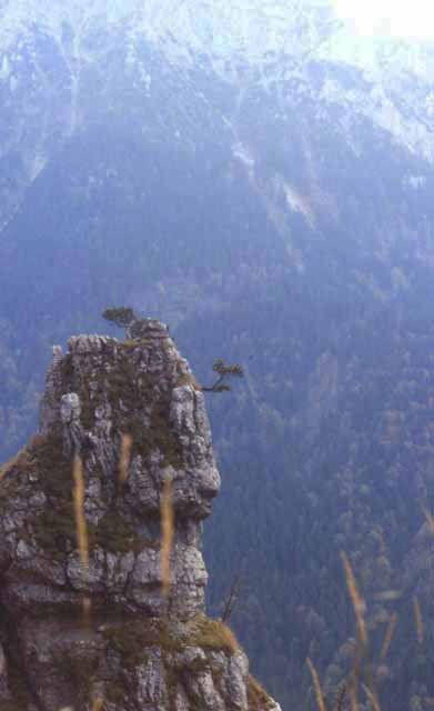 in the Bavarian Alps